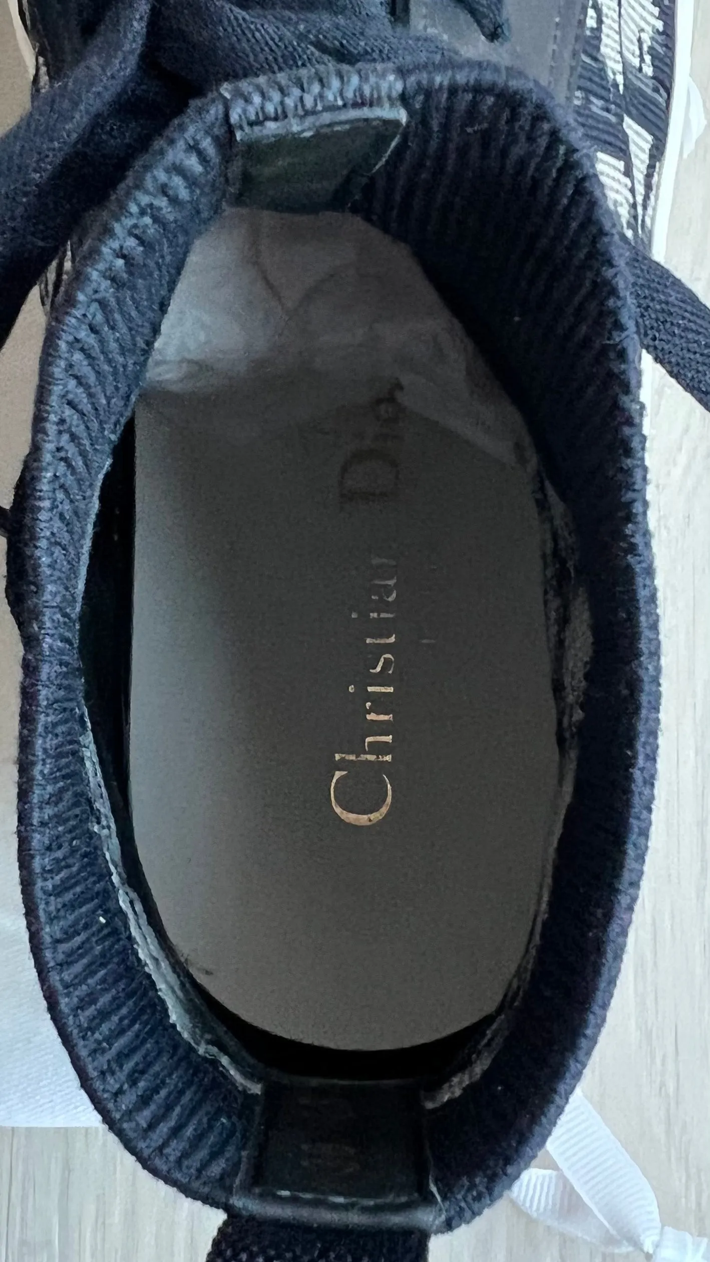 Christian Dior Walk N Dior Hightop Sneakers