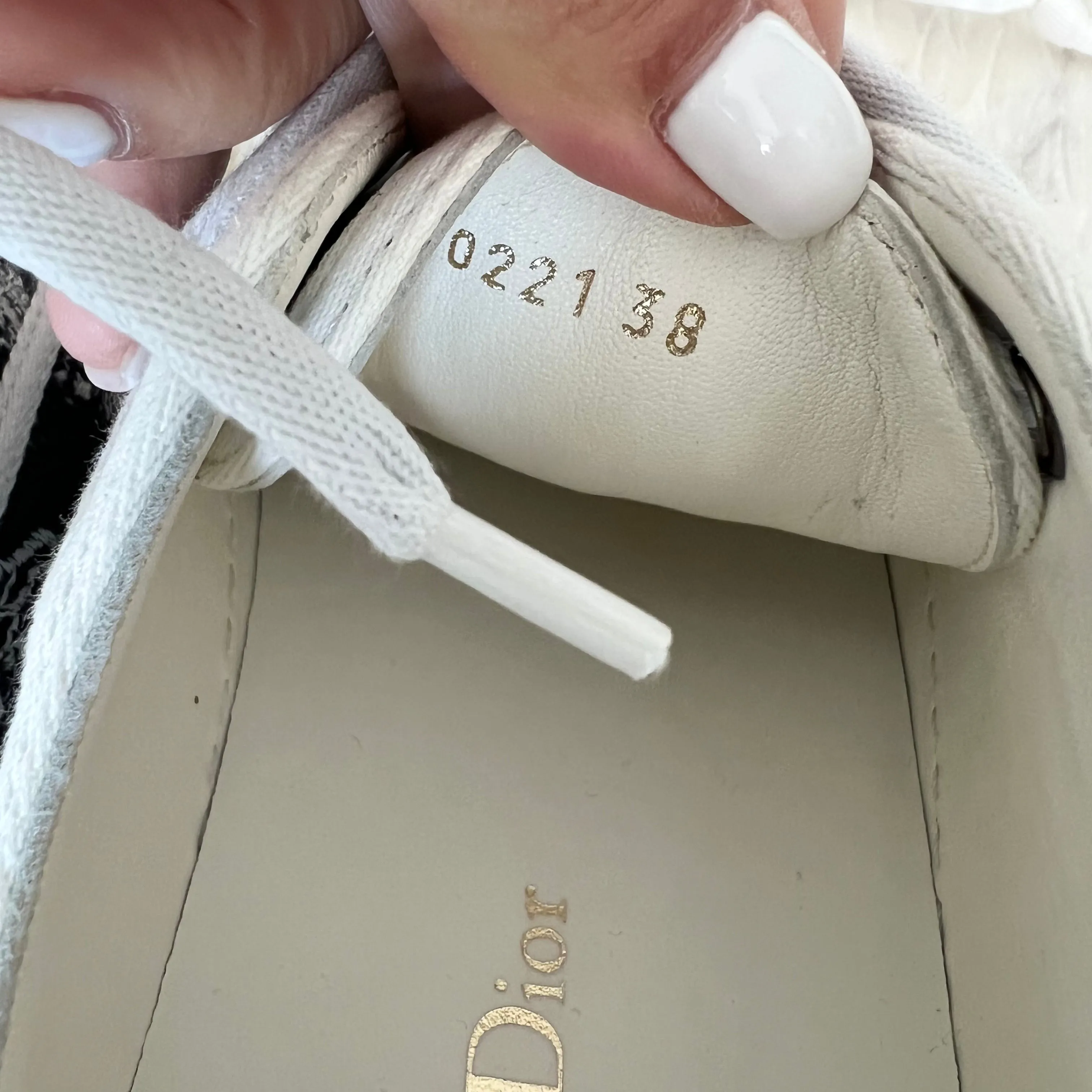 Christian Dior Walk n Dior Sneakers