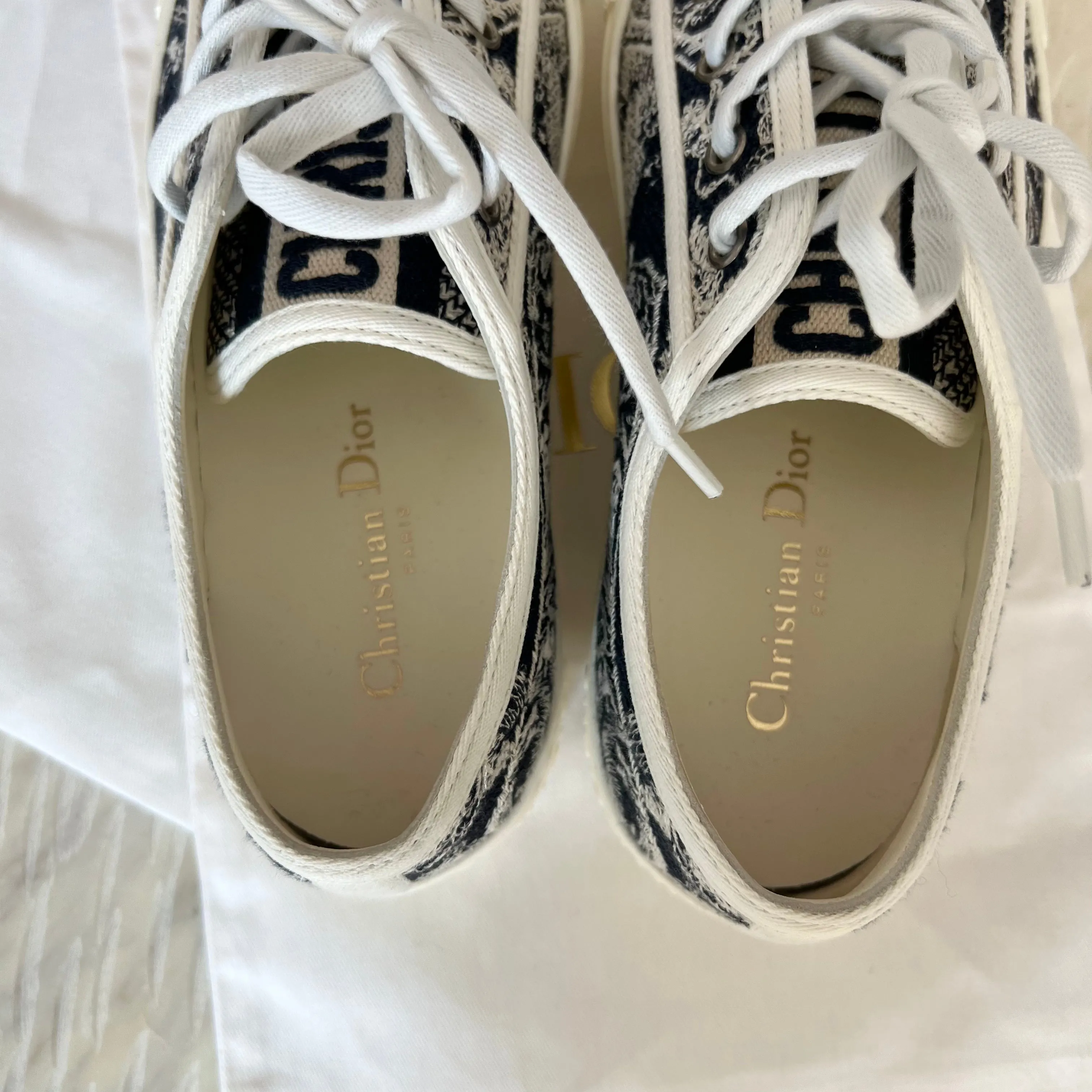 Christian Dior Walk n Dior Sneakers