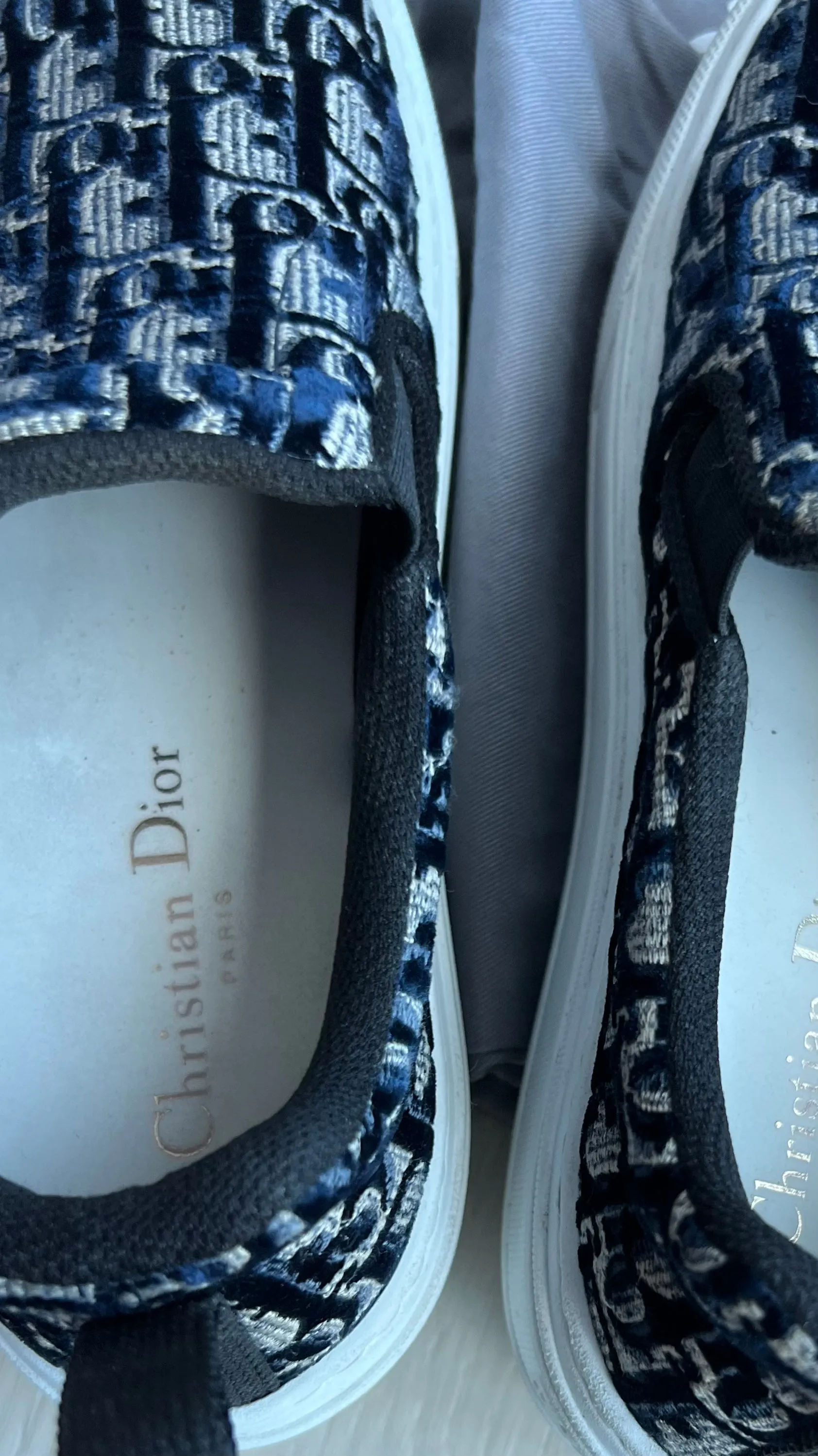 Christian Dior walk n dior sneakers