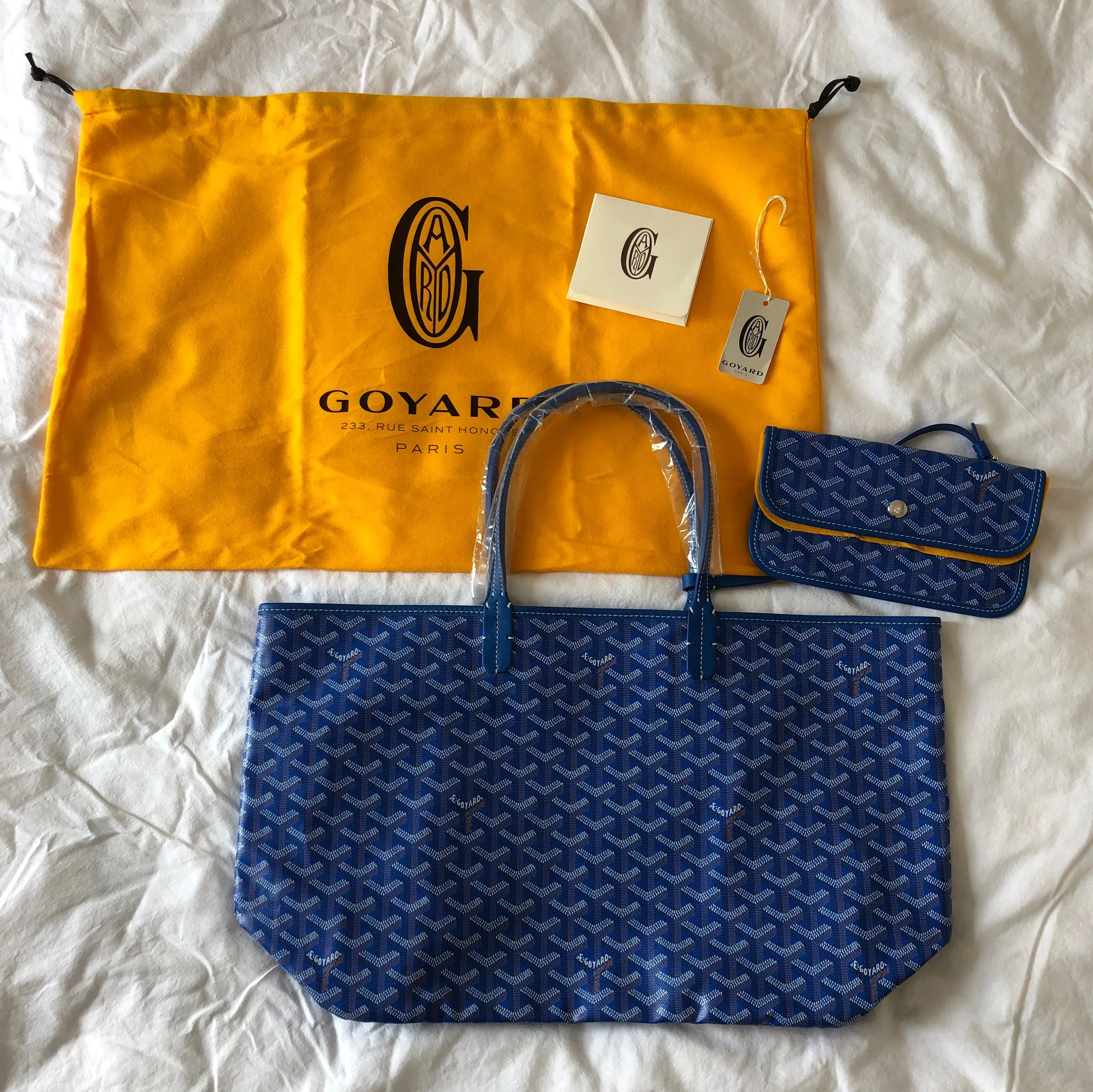 Goyard St. Louis Sky Blue PM (NWT)